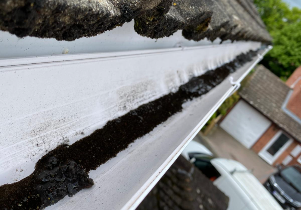 Complete Gutter Cleaning Services