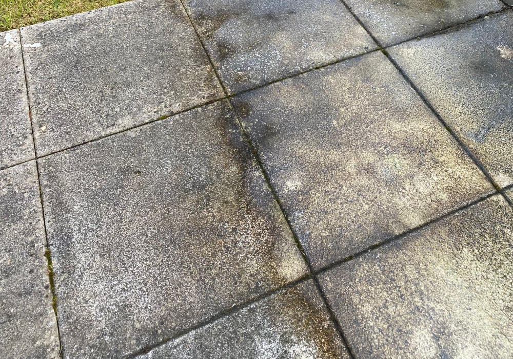 Expert Patio Cleaning Services